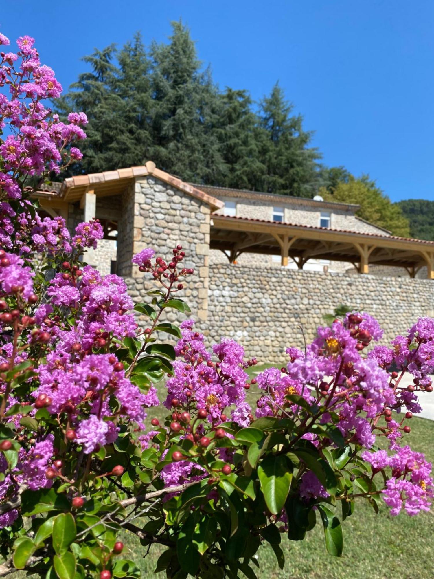 Domaine Les Buis Bed & Breakfast Saint-Fortunat-sur-Eyrieux Exterior foto